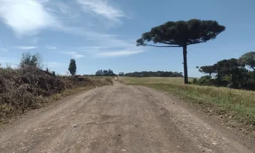 Homem que desmatava floresta da maior reserva de araucárias do mundo é condenado no PR