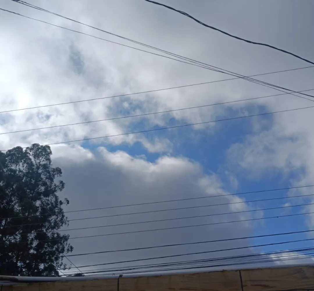 Previsão