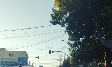 Frio intenso e neblina marcam manhã de terça-feira em Cascavel