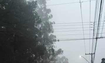 Névoa, vento e frio: Outono mantém clima instável em Cascavel