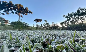 Paraná se prepara para nova onda de frio com temperaturas negativas e geadas intensas