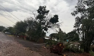 Temporal em Ouro Verde: Prefeitura de Corbélia e Defesa Civil prestam apoio às famílias afetadas