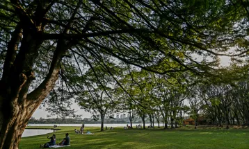 Reta final do inverno: setembro começa na segunda com mais calor e chuvas mais intensas