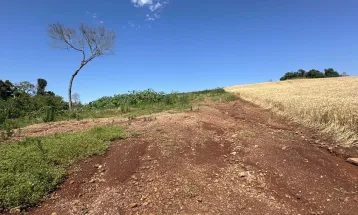 IAT aplica R$ 2,9 milhões em multas ambientais durante a Operação Mata Atlântica em Pé