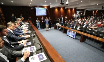 Audiência apresenta medidas para socorrer setor madeireiro do Paraná diante do ‘tarifaço’ dos EUA