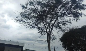 Quarta-feira amanheceu chuvosa e fria em Cascavel