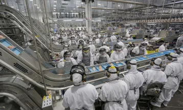 Frango e suíno ampliam exportações, mas mercado interno impõe desafios diferentes ao Paraná