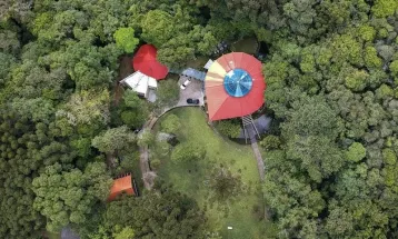 Assembleia busca esclarecimentos sobre posse e preservação do Bosque da Copel