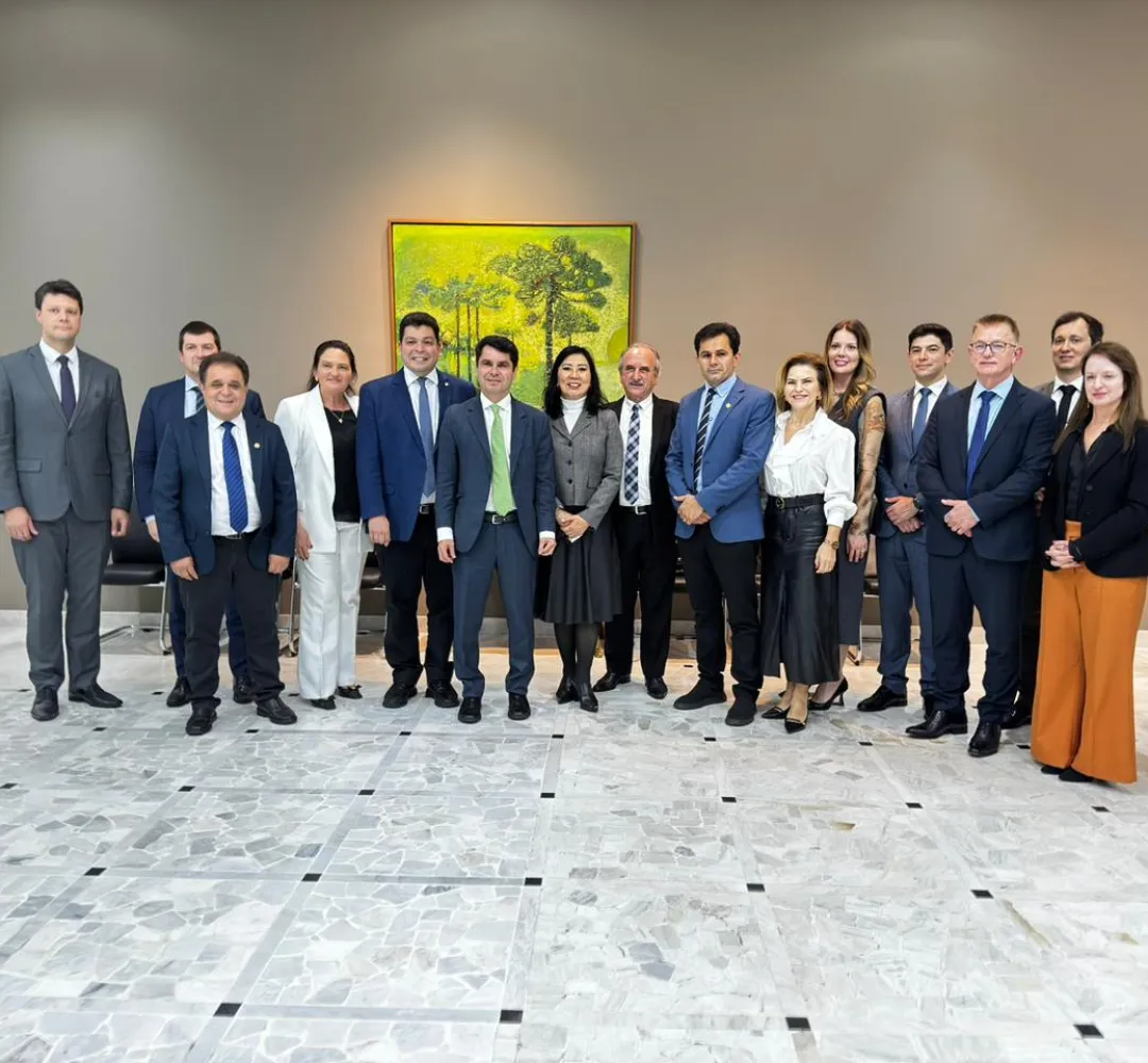 Comitiva pede nova Vara da Fazenda Pública