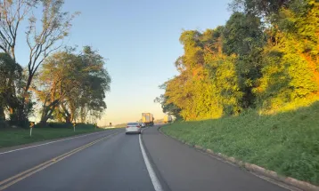 EPR Iguaçu altera tráfego na BR-277 para corte de árvores com risco de queda na próxima terça-feira