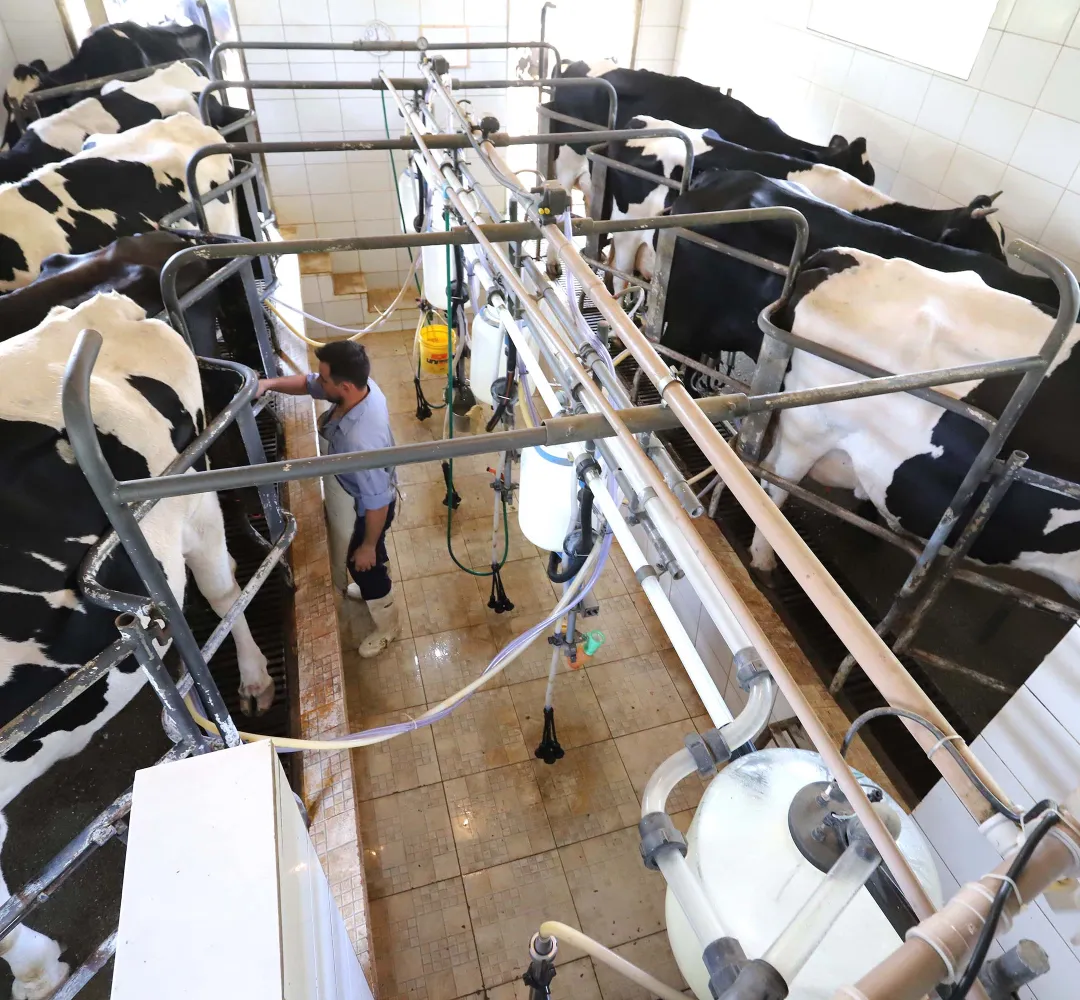 Paraná bate recorde no setor produtivo