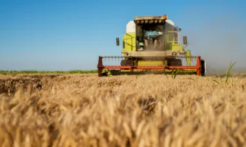 Disputa entre agronegócio e leis estaduais sobre função social da terra vai para conciliação no STF