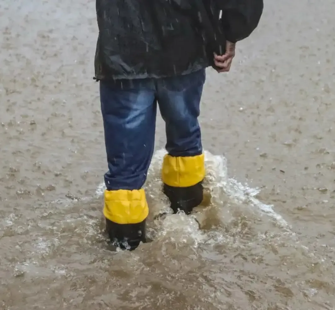 Temporal