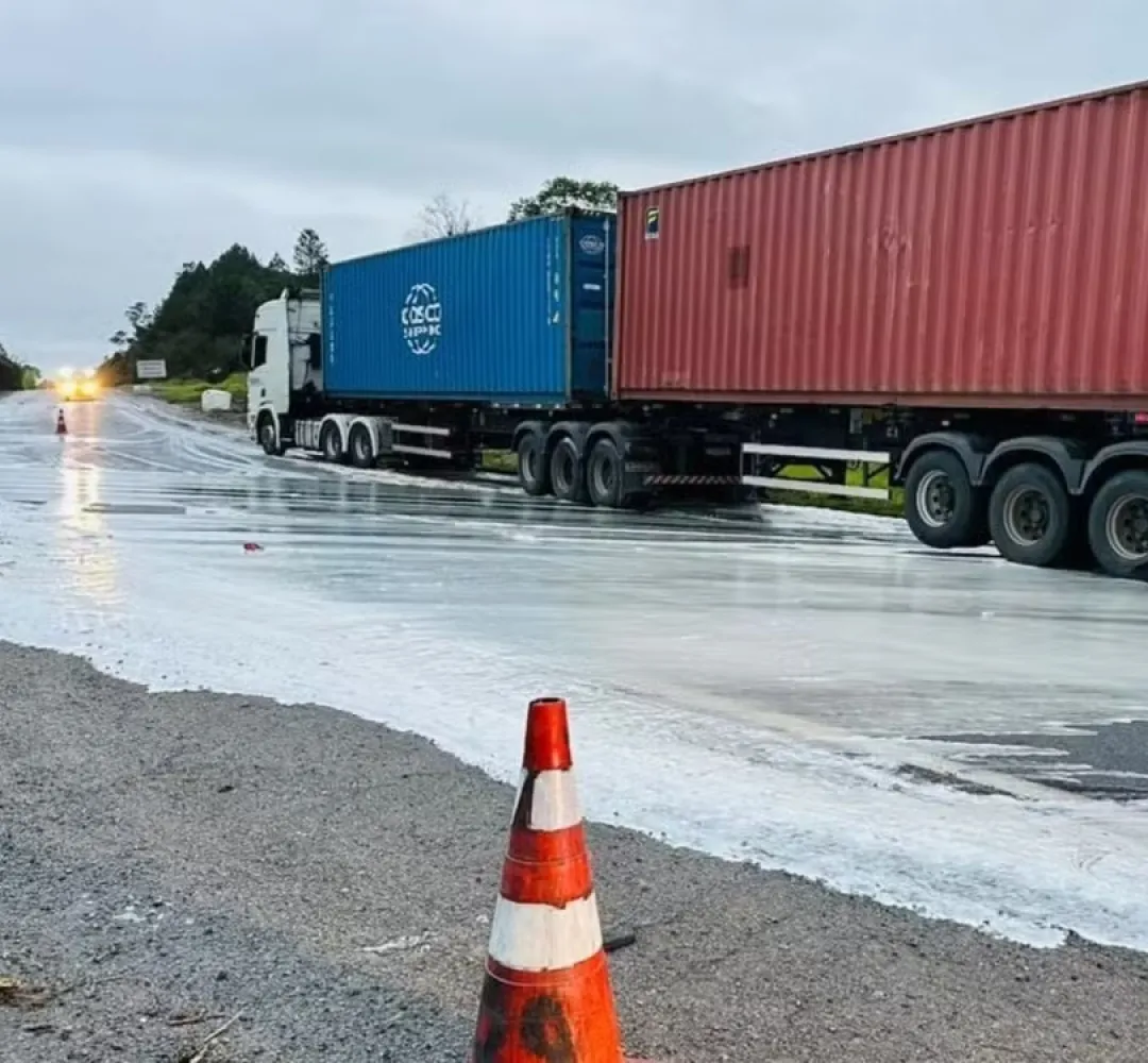 rodovia regis