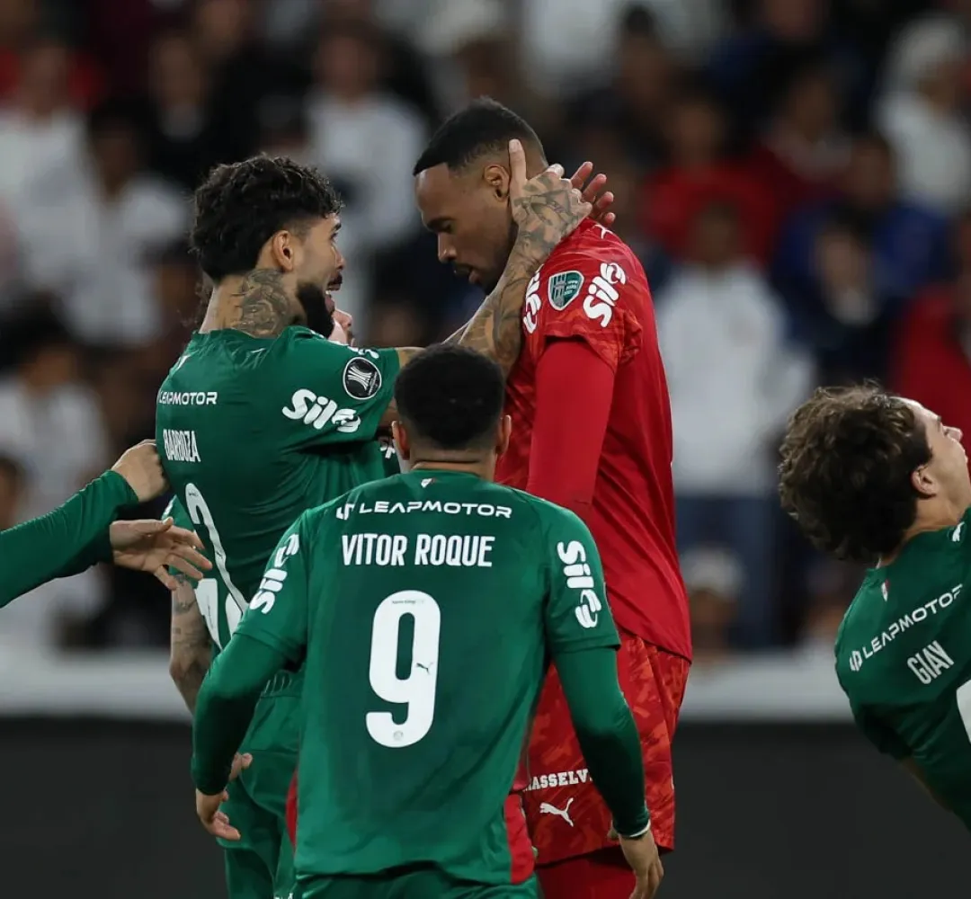 palmeiras ldu