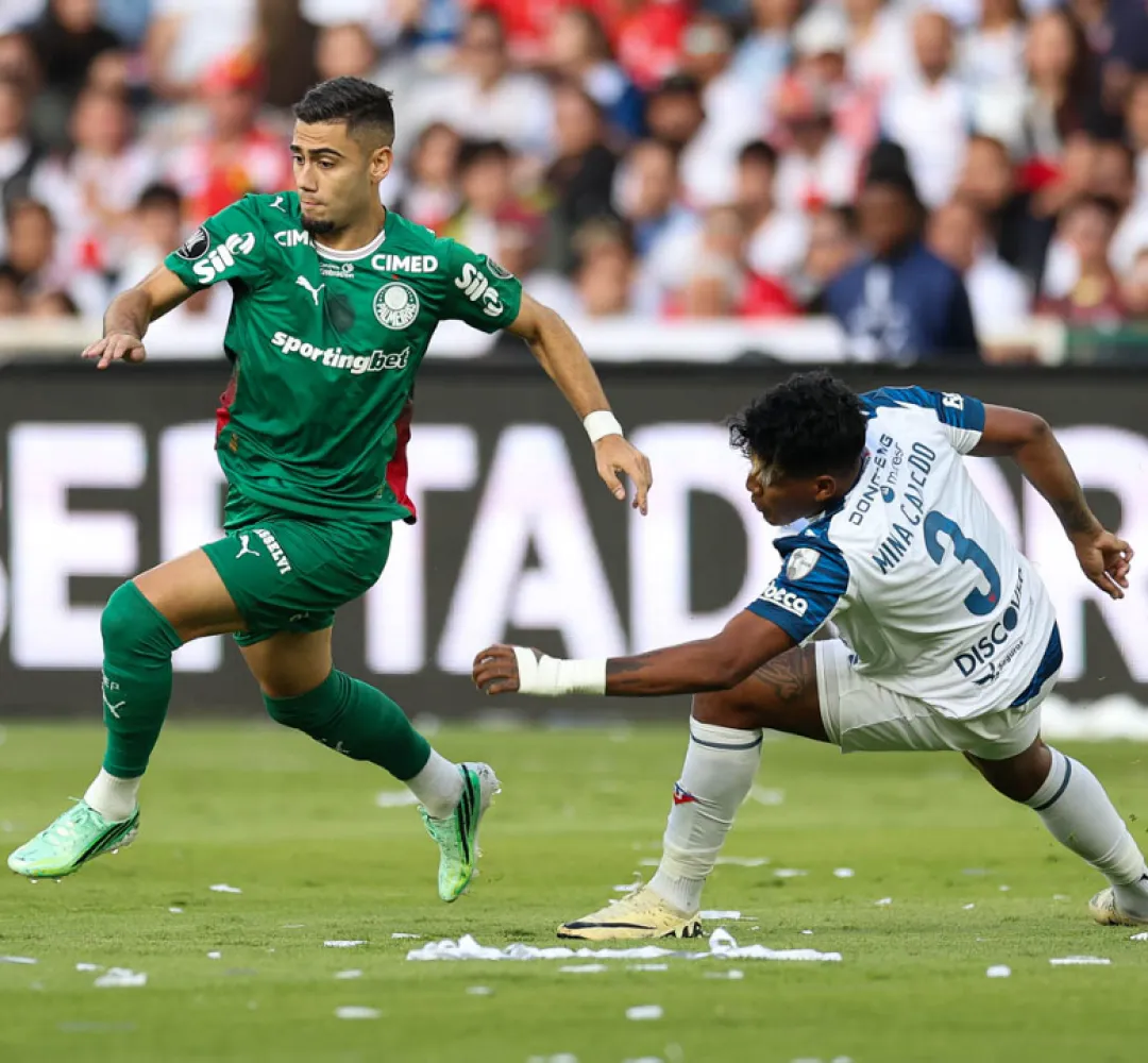 O Verdão está nas semifinais da Libertadores