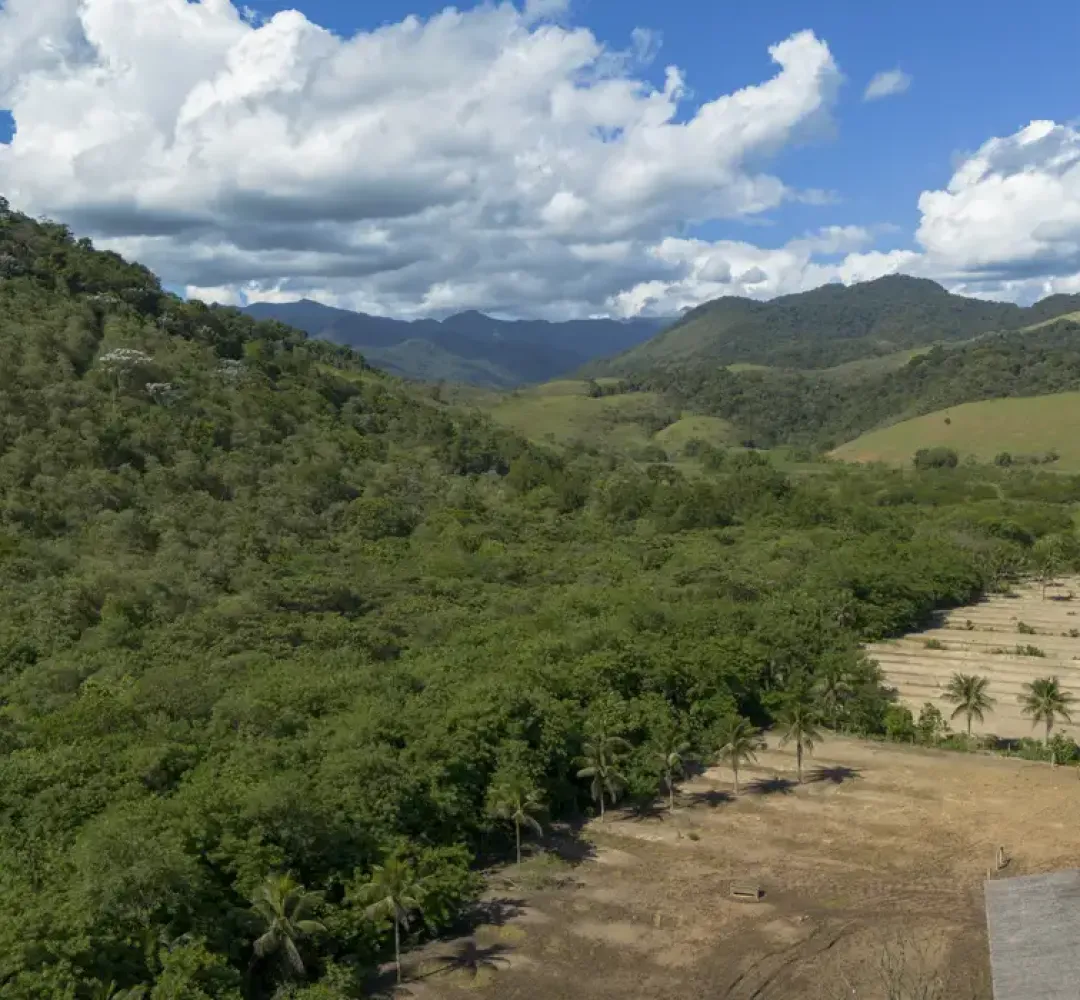 Agricultura ganha 11 mi de hectares