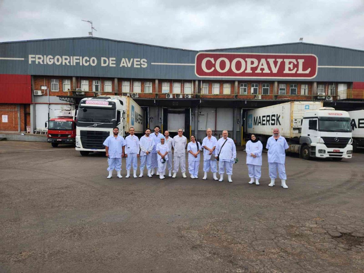 Coopavel é aprovada pelo Iraque para fornecer carne de frango
