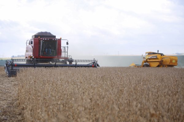 Safra de soja do Paraná deve crescer 4% e chegar a 22,75 milhões de toneladas