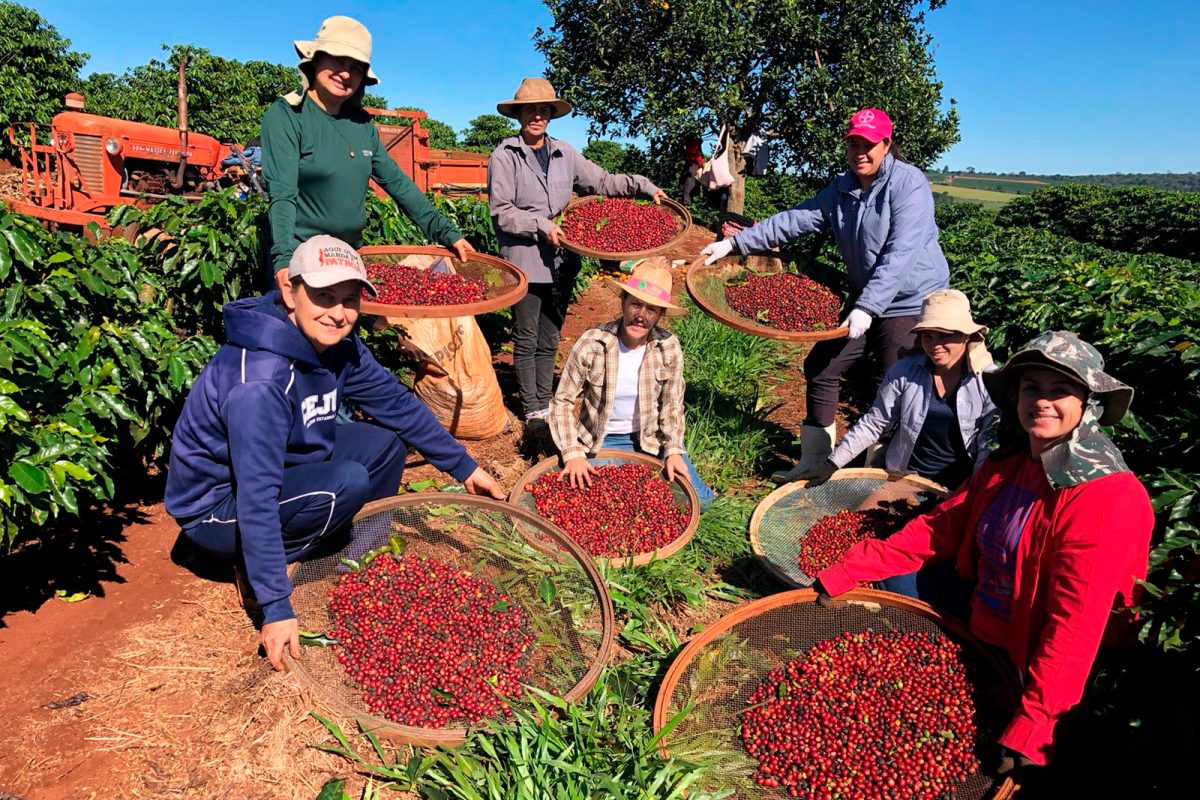 Feira da Agroindústria Familiar terá 12 expositores em Curitiba