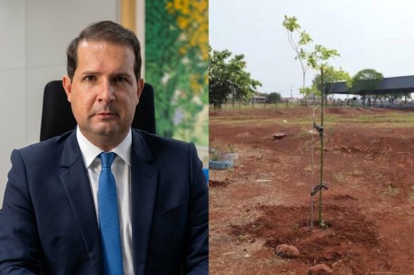 Licitação de paisagismo em Assis Chateaubriand entra na mira do TCE-PR por suspeita de irregularidades