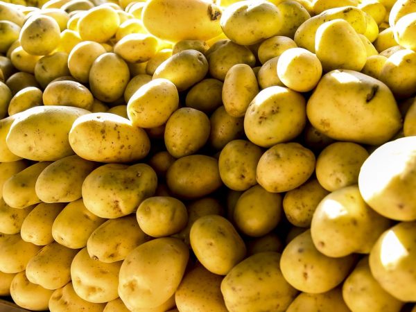 Batata fica 69% mais cara no Paraná e nova safra deve ter queda de 11% na produção