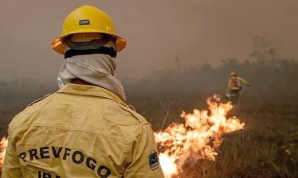 540 focos em 48 horas: incêndios no Amazonas levantam suspeitas de crime ambiental