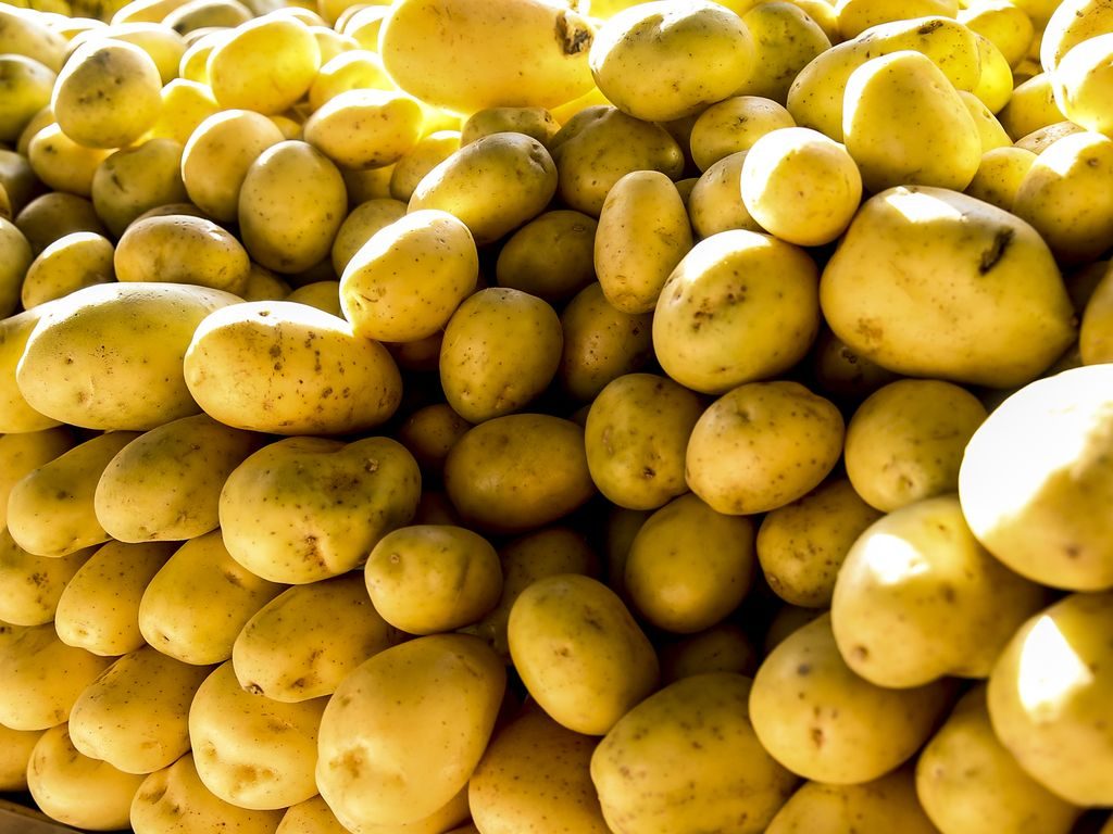Batatas