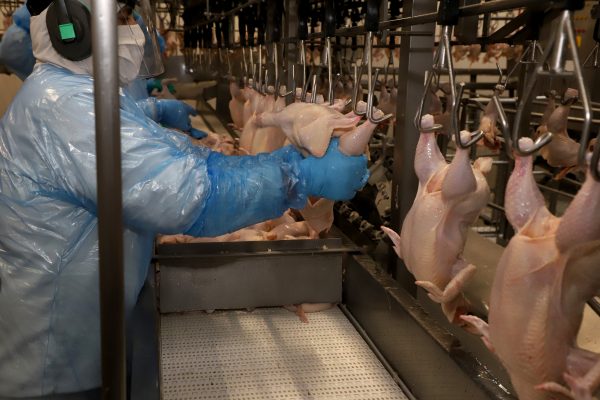 Agro do Paraná ganha espaço em expansão de 700 mercados internacionais abertos pelo Brasil