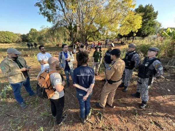 Violência contra povos indígenas: Paraná, Mato Grosso do Sul e Rio Grande do Sul registram ataques e investigações