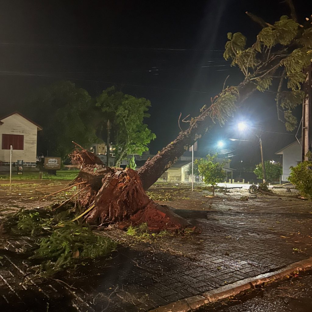 Temporal causa estragos e derruba árvores em Laranjeiras do Sul