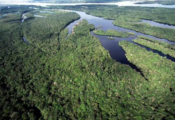 Meio ambiente: veja o que Lula e Flávio Bolsonaro prometem e o que já existe