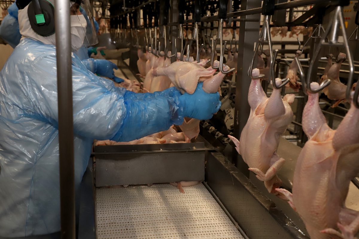 A agroindústria paranaense, com destaque para a produção de carnes, pode ampliar suas oportunidades comerciais com a abertura de novos mercados internacionais para produtos brasileiros. 