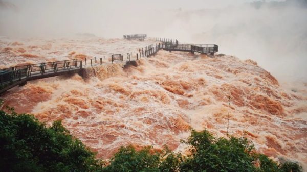 Cataratas do Iguaçu chegam a 15,5 milhões de litros por segundo; veja o que acontece na cheia