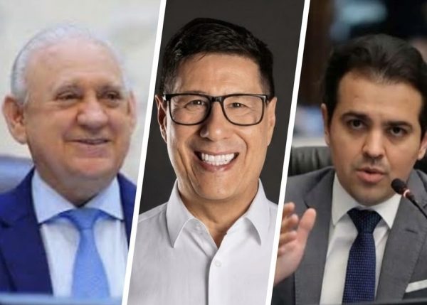 Sudoeste do Paraná elege seis representantes para a Alep e a Câmara dos Deputados