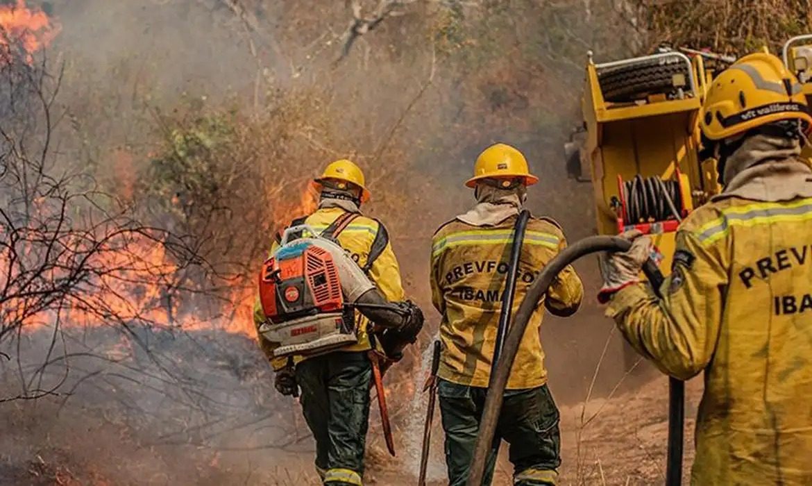 Estado registra alta de 271% nos focos de incêndio em outubro