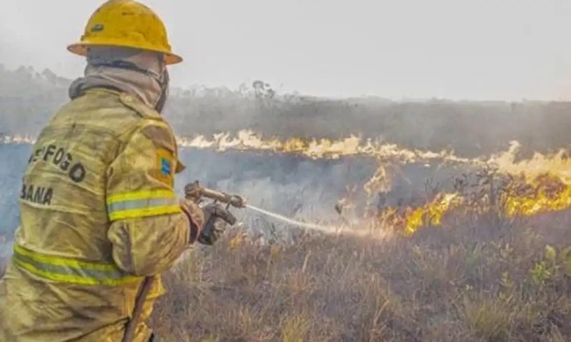 Amazonas abre 120 investigações para apurar incêndios criminosos