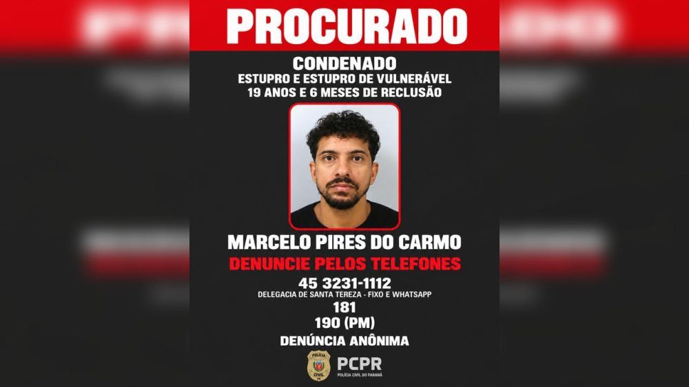 Divulgação 