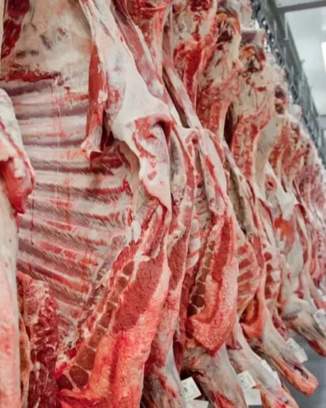Brasil está proibido de exportar carne para União Europeia a partir de setembro