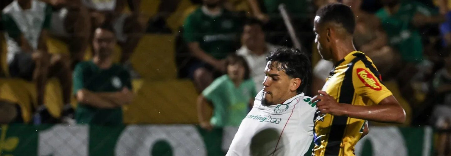 Campeonato Paulista: Verdão e Novorizontino iniciam a disputa do título