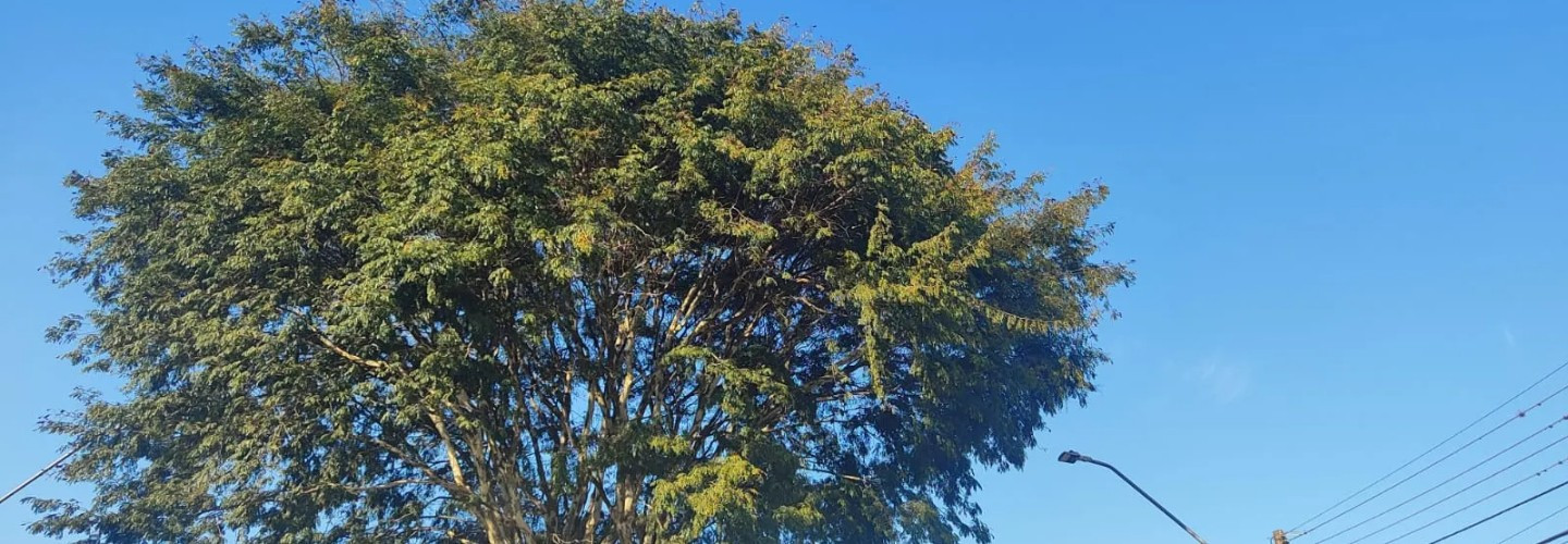 Cascavel terá sol e tempo estável nesta sexta-feira (12)