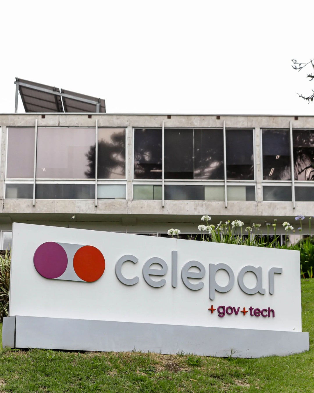 Celepar e a proteção de dados: por que o caso pode mudar o futuro da privacidade no Brasil
