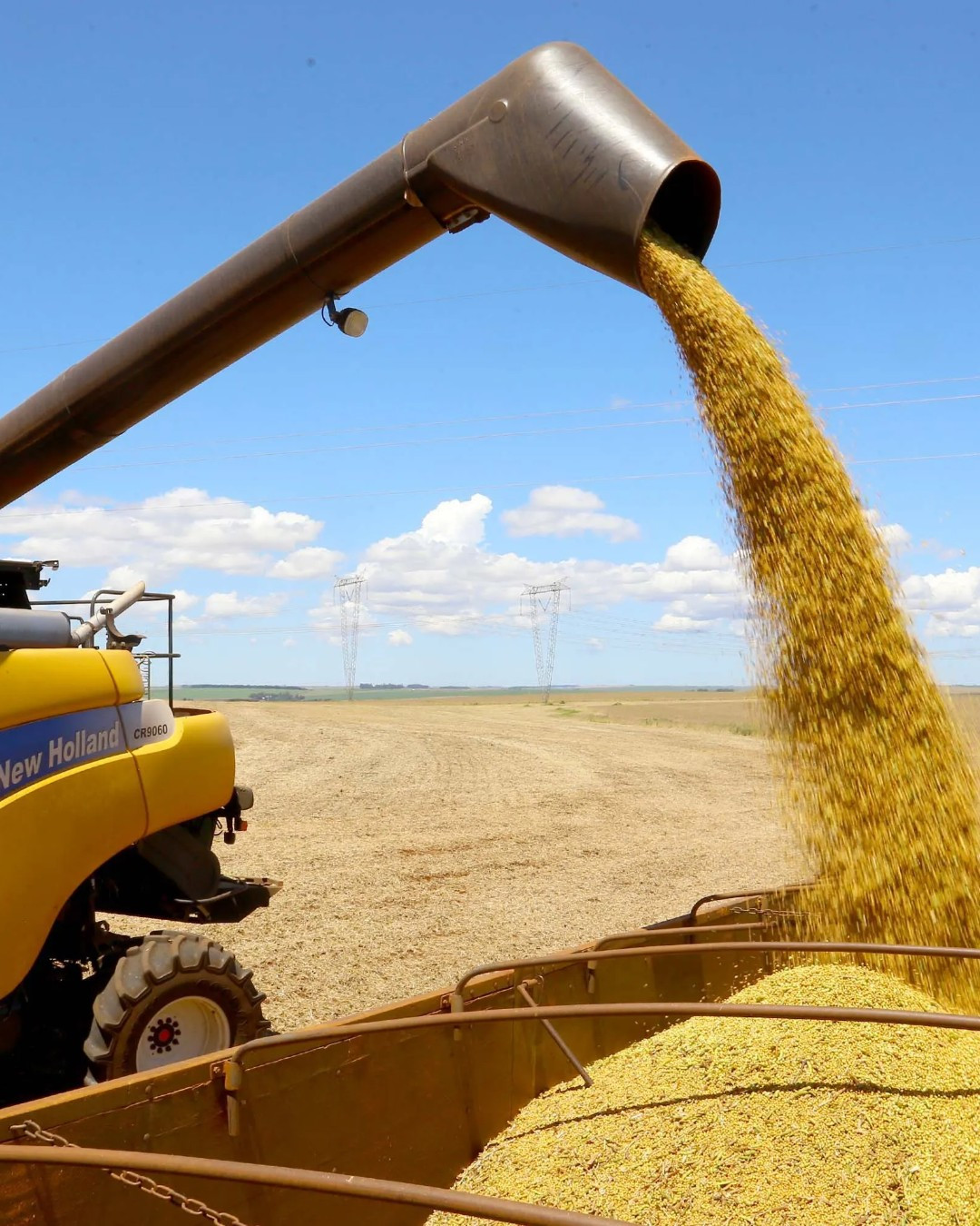 Diesel caro e barreiras da China pressionam produtores rurais no Paraná