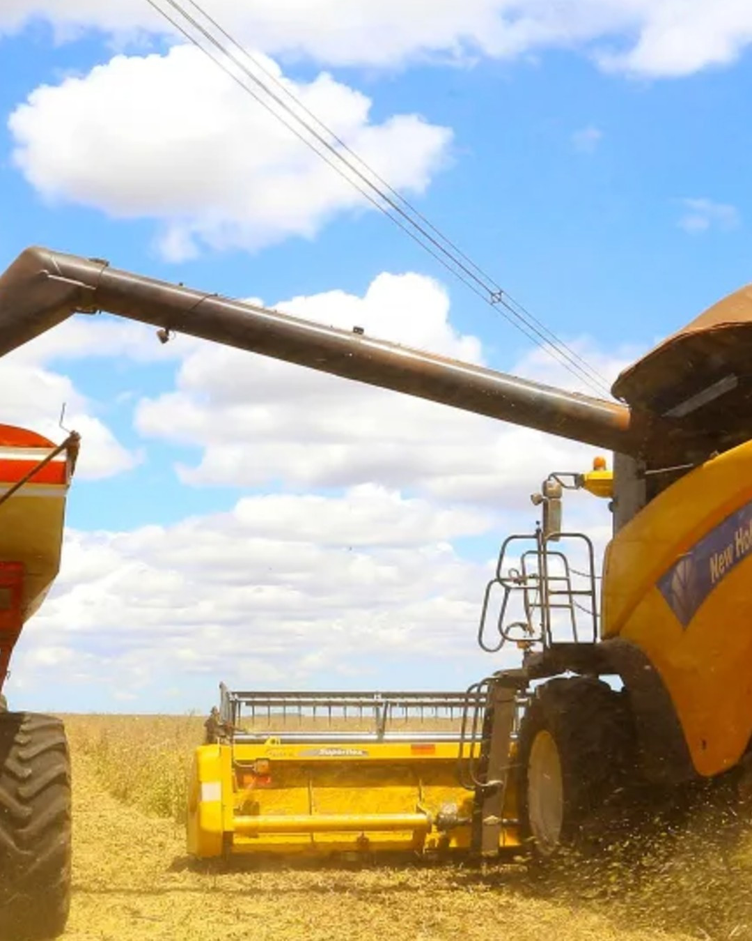 Endividamento no campo pressiona agro e mobiliza Congresso por pacote emergencial