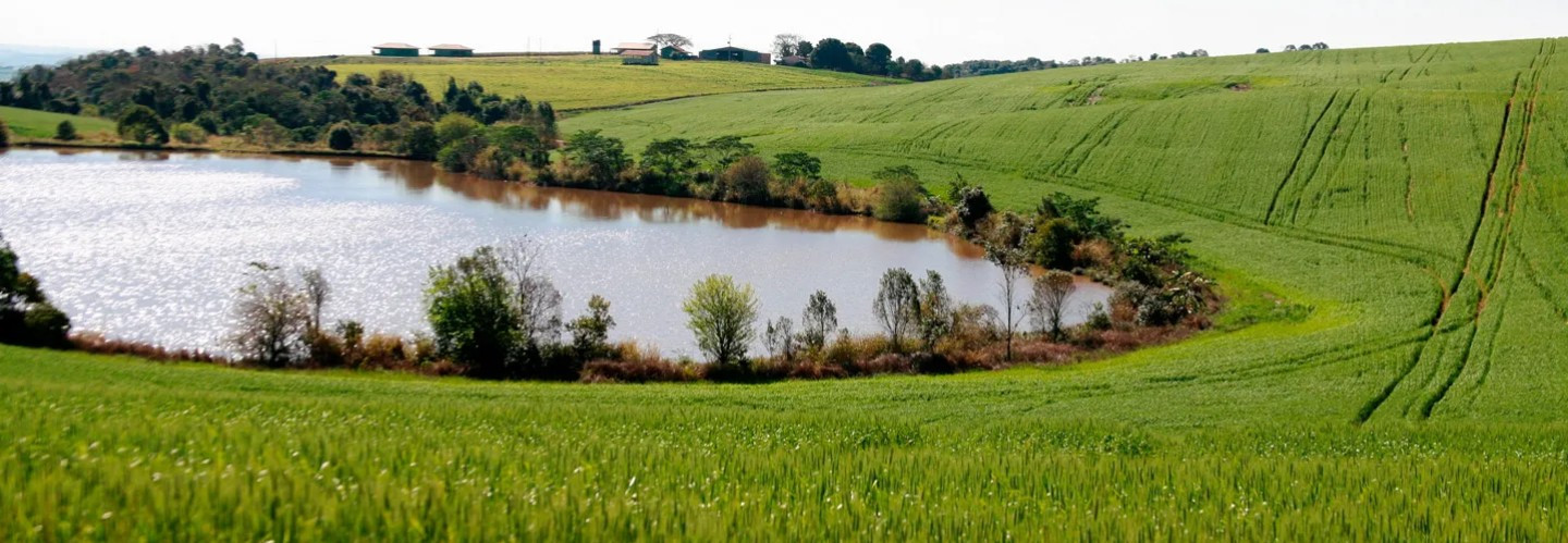 FAEP cobra revisão de decisão do TCE-PR sobre cobrança da água no campo