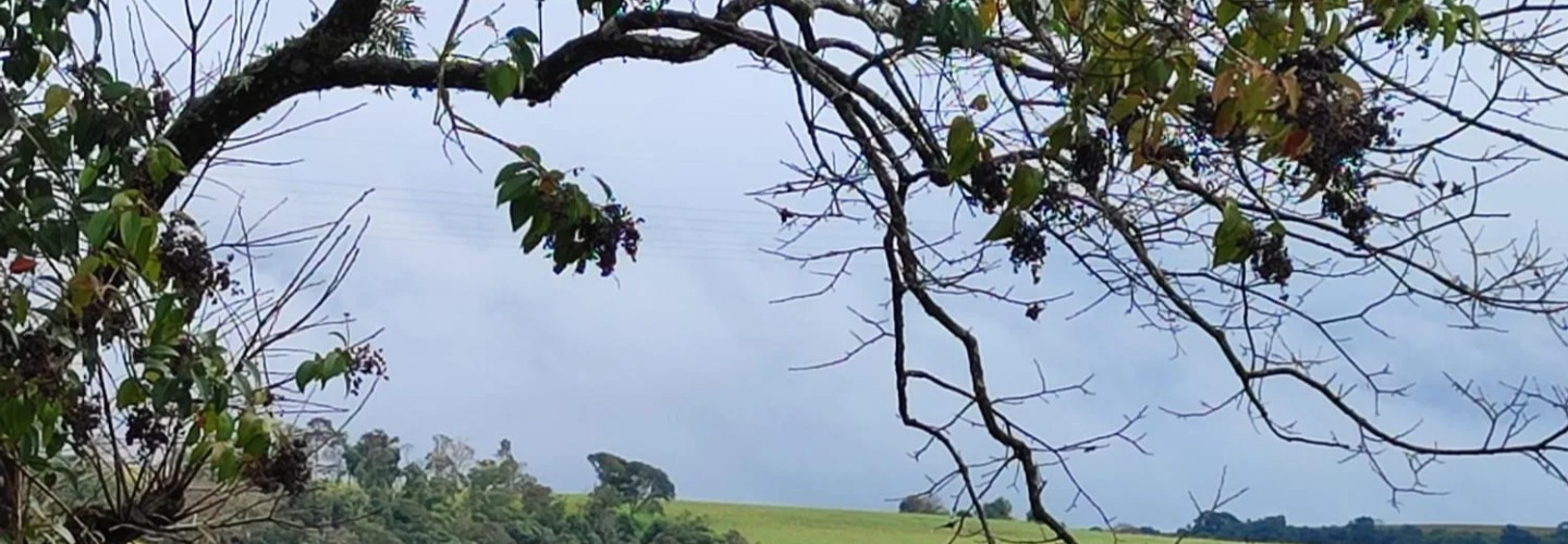 Frio e garoa marcam a quarta-feira (29) em Cascavel