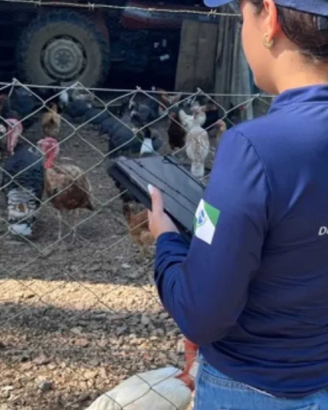 Governo deixa Adapar na mão e agro pode sofrer com greve