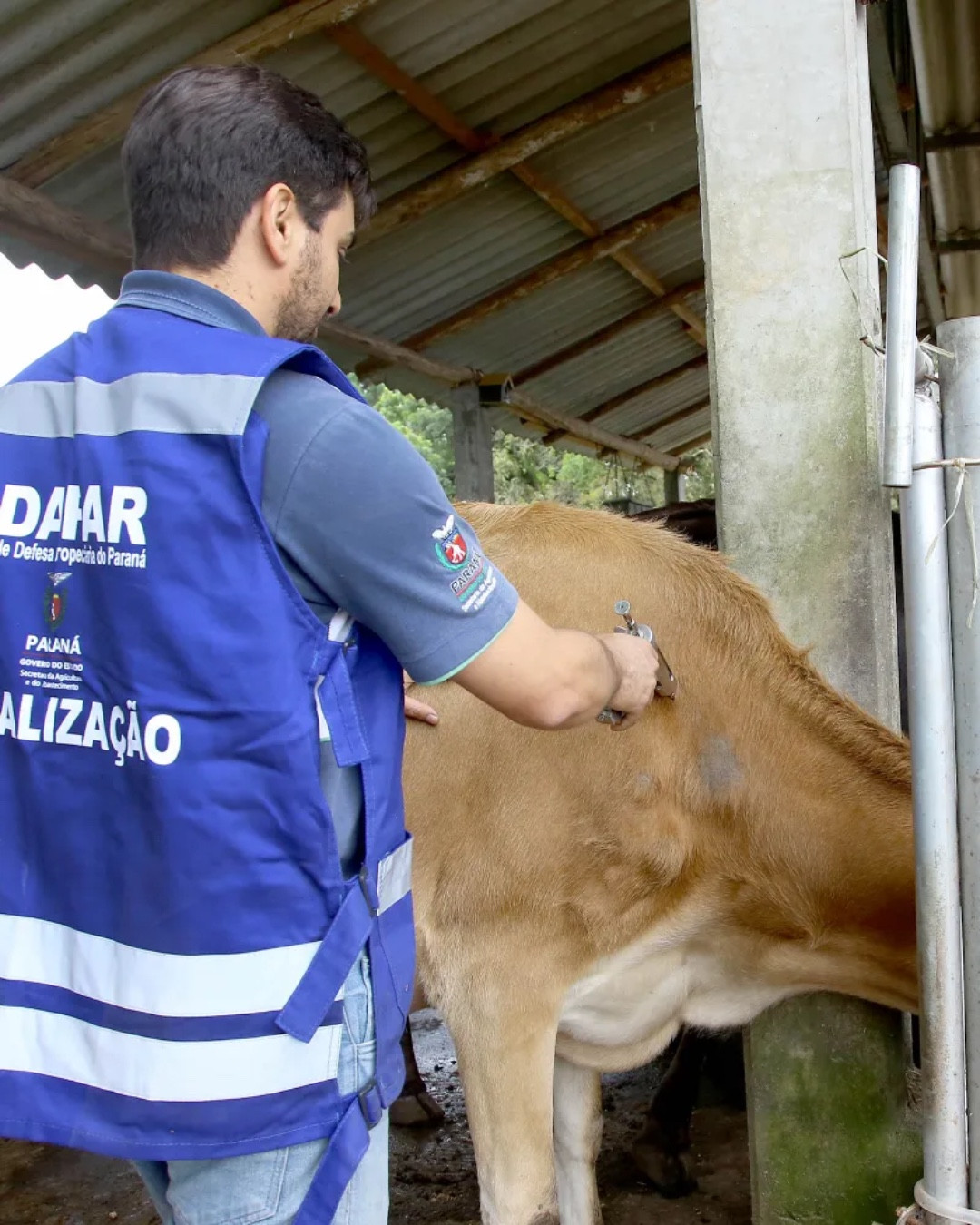 Greve da Adapar pode fazer com que japoneses deixem de comprar carne bovina do Paraná