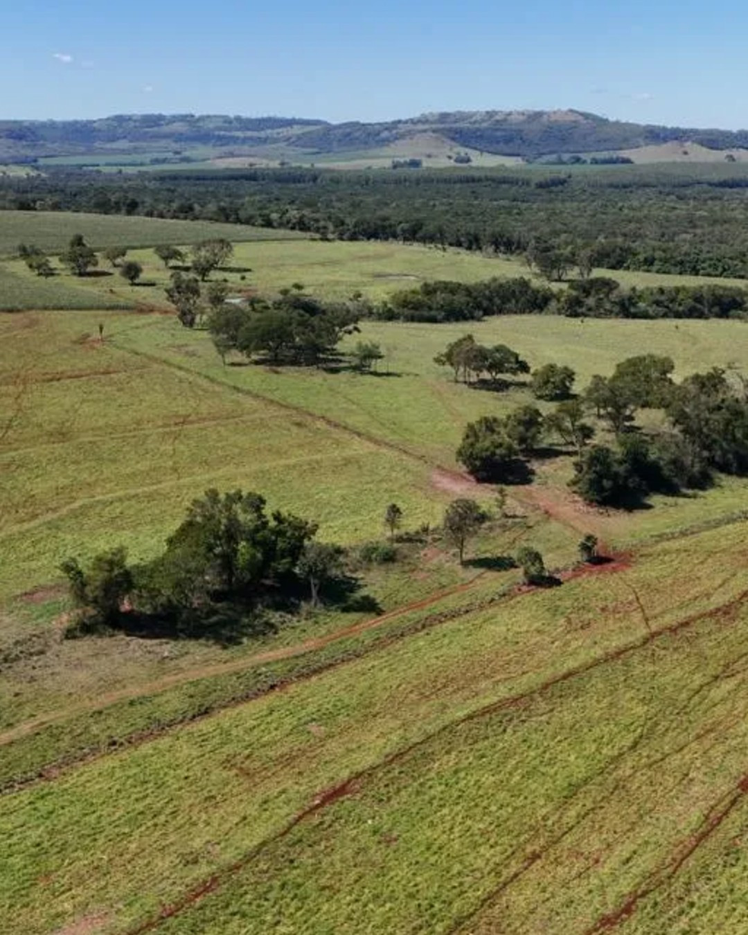 Itaipu desembolsa R$ 17,6 milhões para compra de áreas no Oeste do Paraná em meio a conflitos fundiários