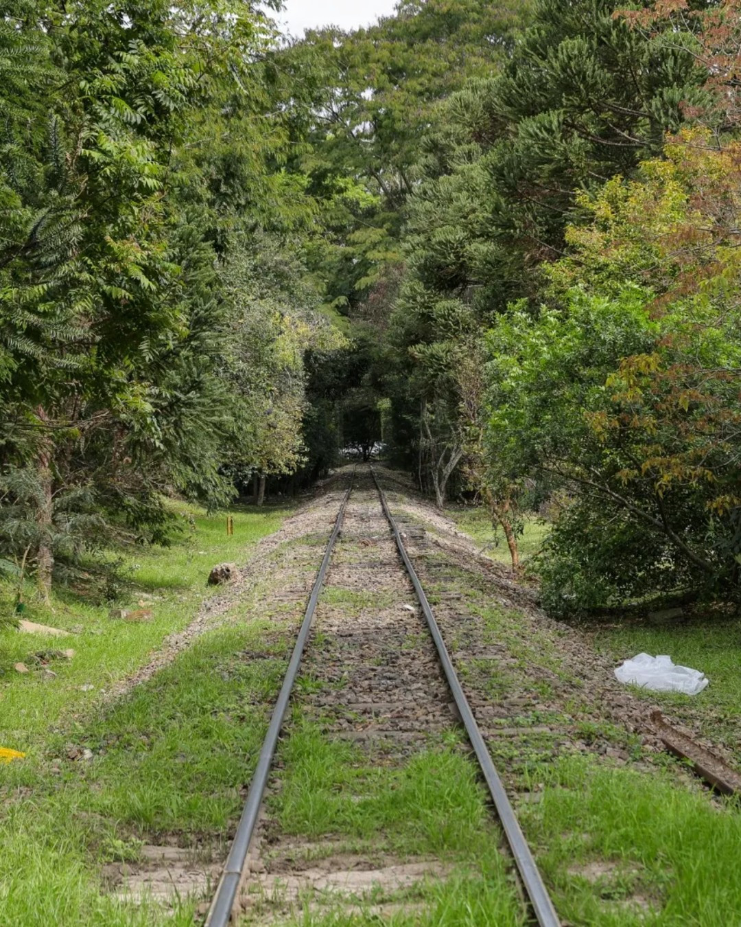 Justiça Federal inclui Curitiba e mais três municípios em ação do Estado para retirar trens de carga do Ramal Norte